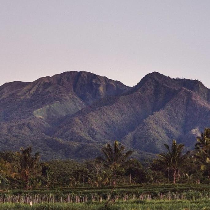 Tetebatu Mountain View Homestay Экстерьер фото