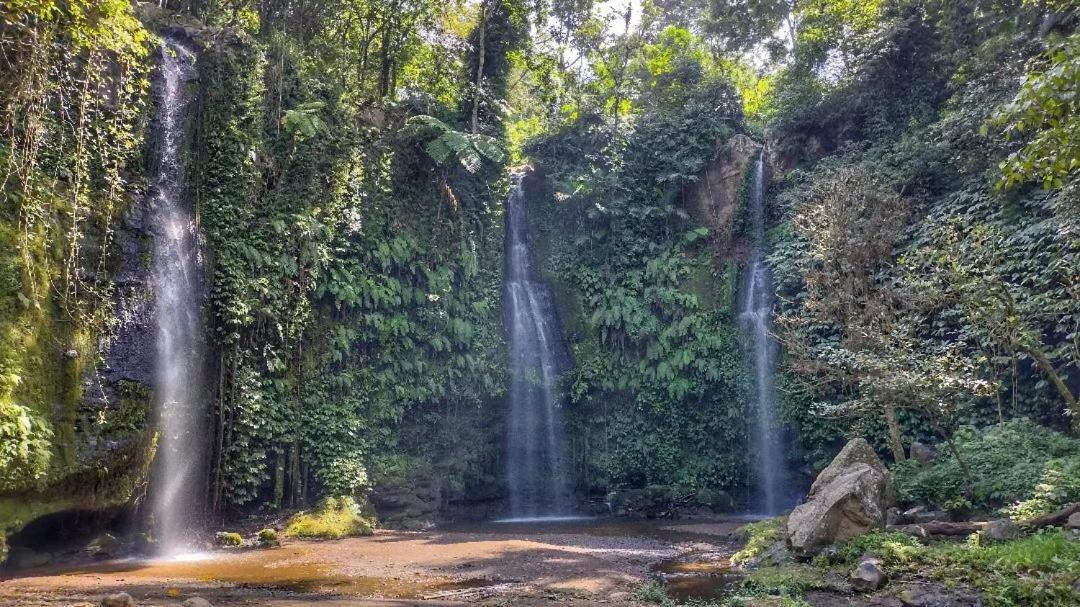 Tetebatu Mountain View Homestay Экстерьер фото