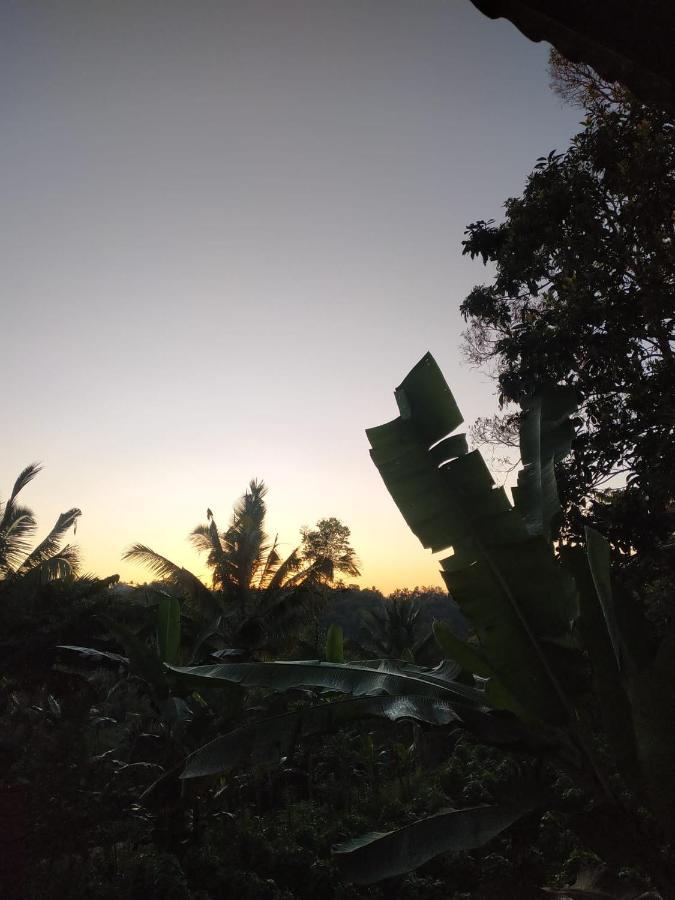 Tetebatu Mountain View Homestay Экстерьер фото