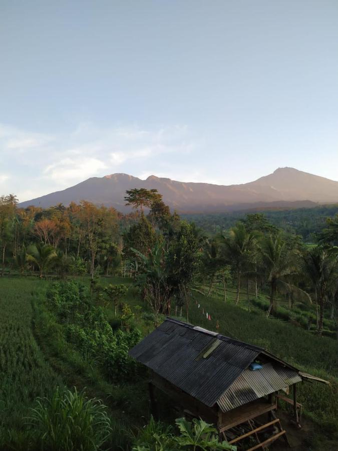Tetebatu Mountain View Homestay Экстерьер фото