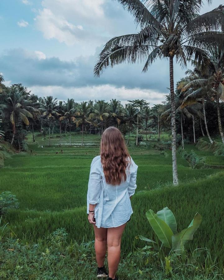 Tetebatu Mountain View Homestay Экстерьер фото