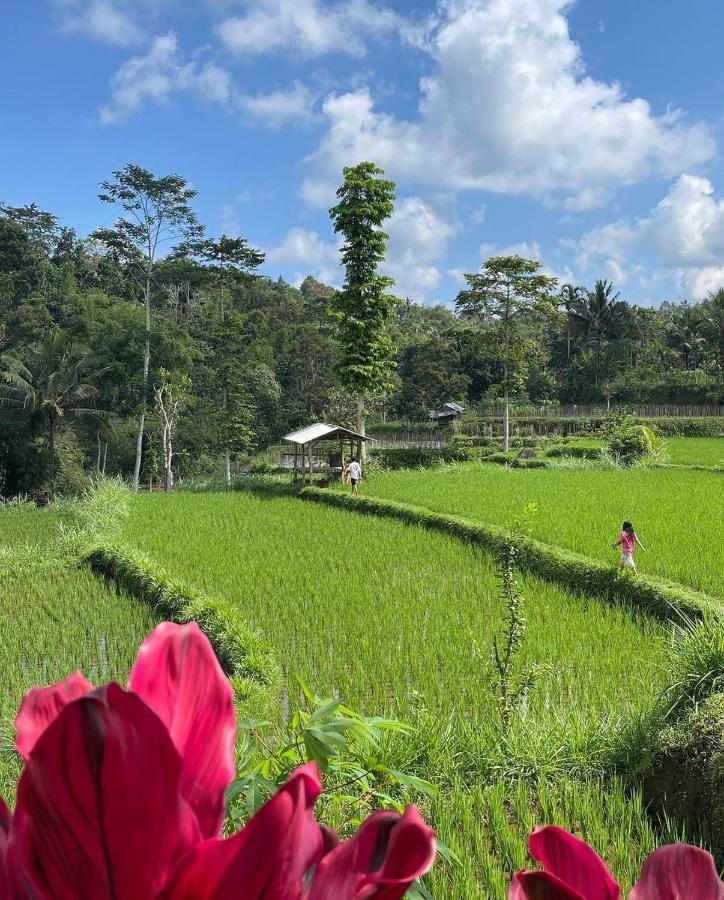 Tetebatu Mountain View Homestay Экстерьер фото