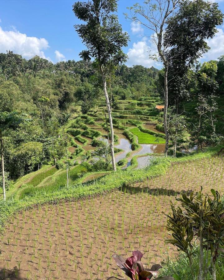Tetebatu Mountain View Homestay Экстерьер фото