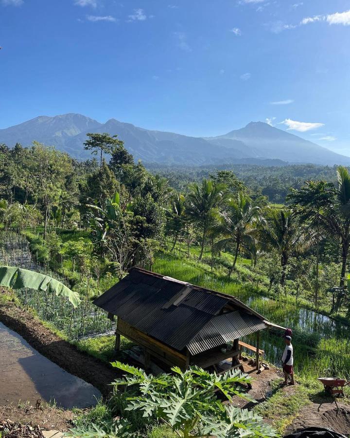Tetebatu Mountain View Homestay Экстерьер фото