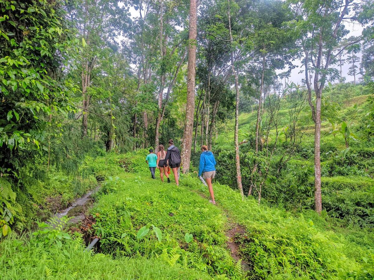 Tetebatu Mountain View Homestay Экстерьер фото