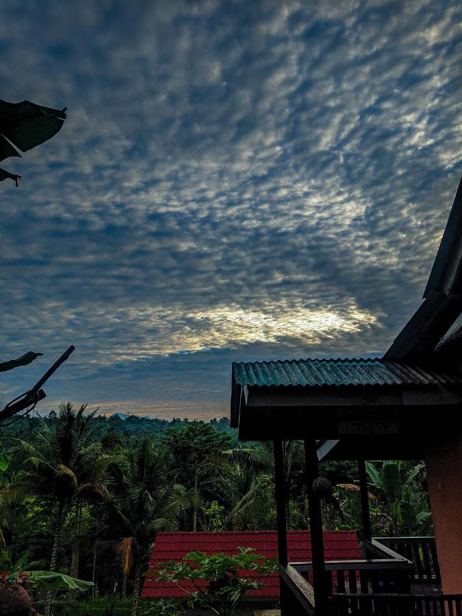 Tetebatu Mountain View Homestay Экстерьер фото