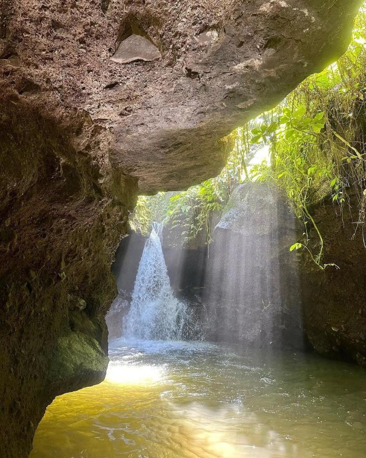 Tetebatu Mountain View Homestay Экстерьер фото