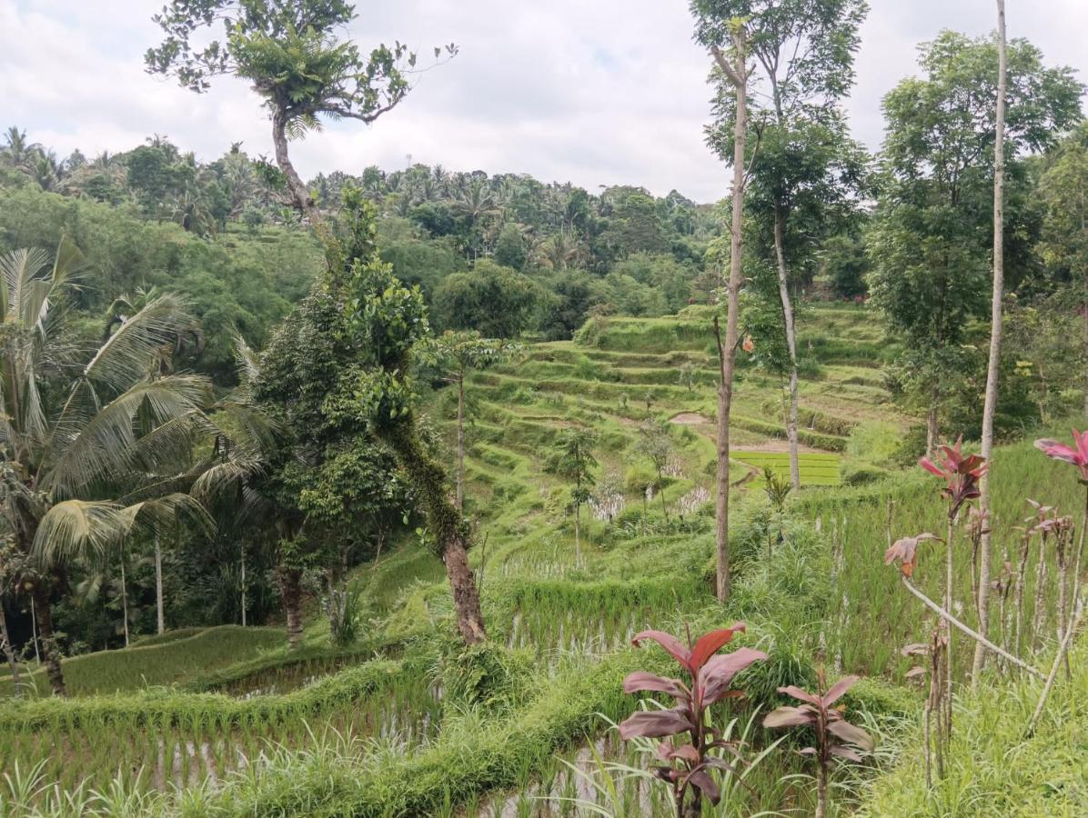 Tetebatu Mountain View Homestay Экстерьер фото