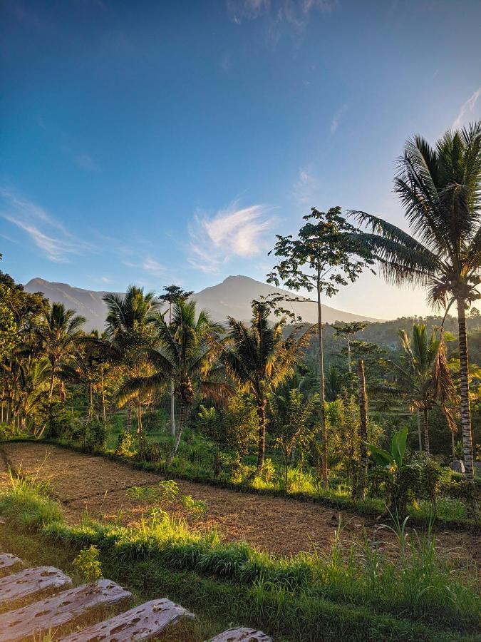 Tetebatu Mountain View Homestay Экстерьер фото