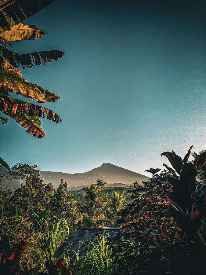 Tetebatu Mountain View Homestay Экстерьер фото